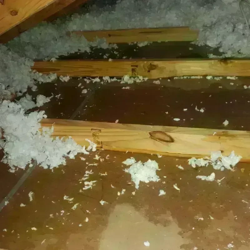 Attic Water Damage in Burlington, NJ