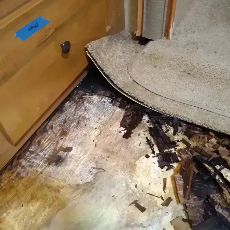 Wood Floor Water Damage in Burlington, NJ